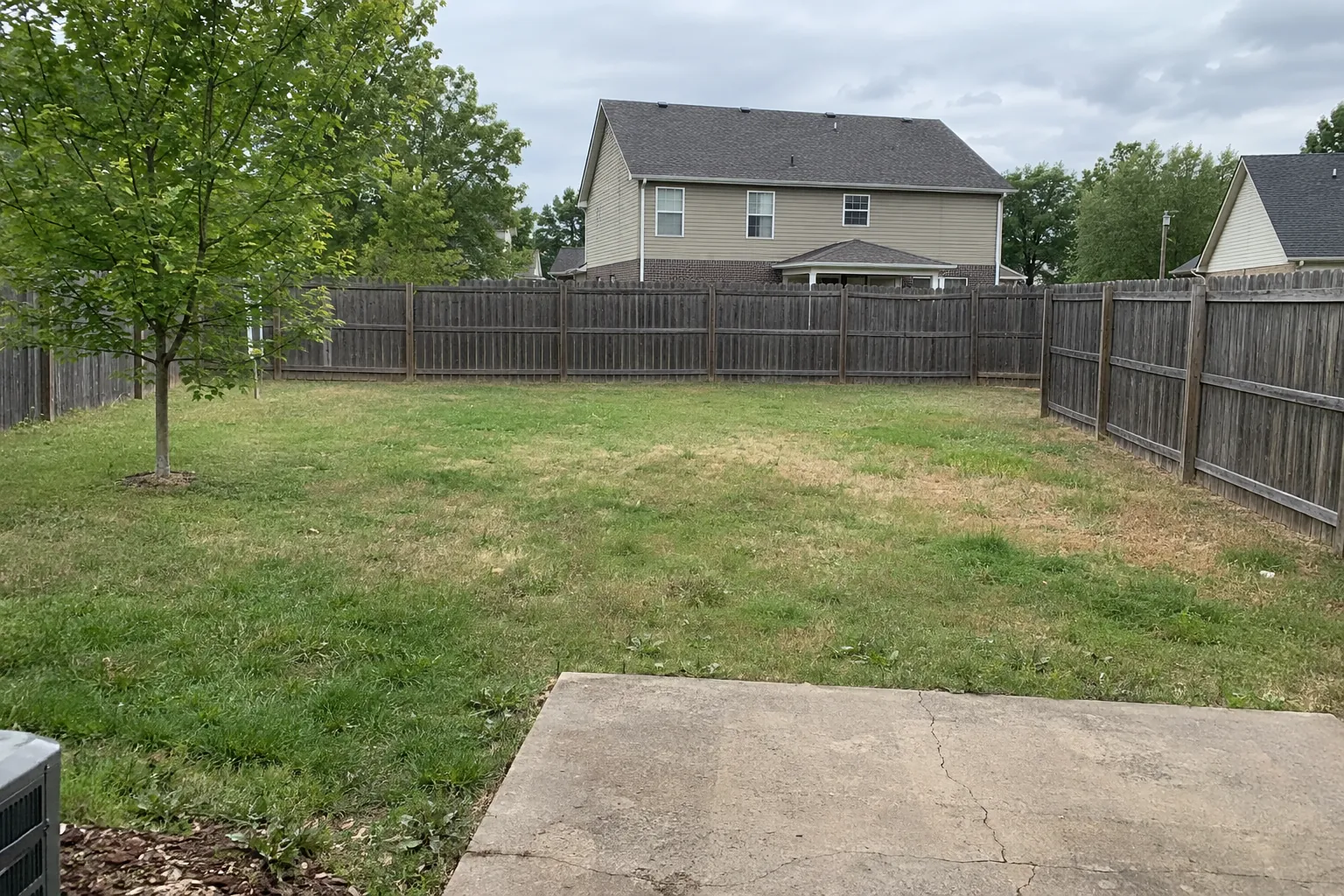 The yard today